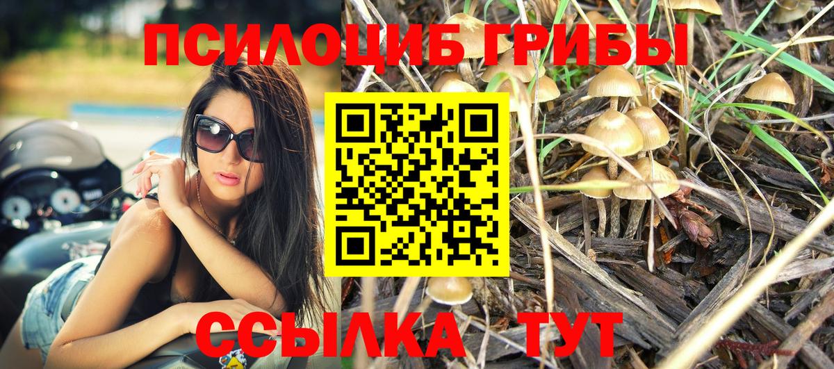 Новосибирск  купить наркотик  Галлюциногенные грибы Psilocybe  Вход с VPN  Псилоцибиновые грибы Psilocybine cubensis 