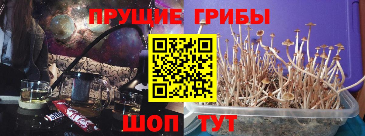 Псилоцибиновые грибы ЛСД Новосибирск